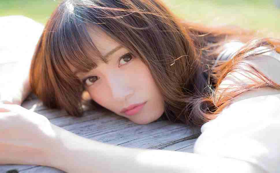 站群文章更新器