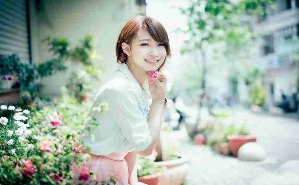 站群优化的原理